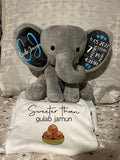 Personalized Baby Elephant with Name and Birth Stats