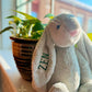 Embroidered Easter Bunny